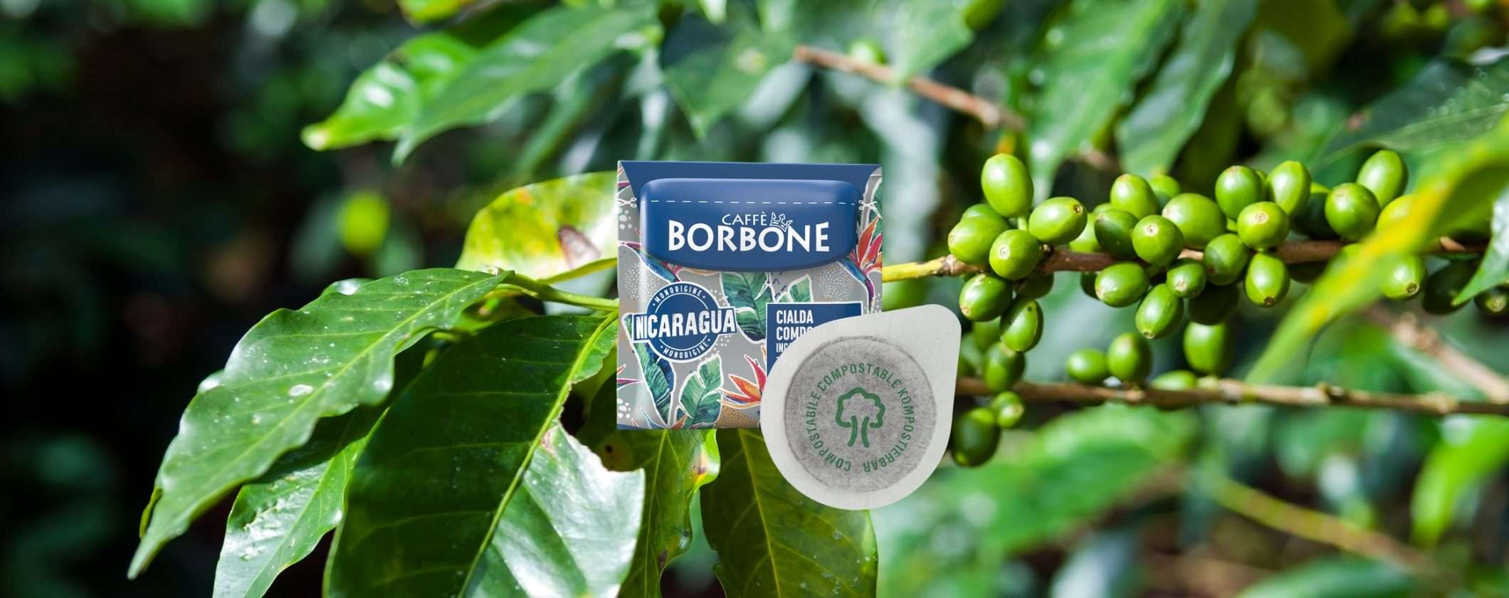 Cialde Caffè Borbone Nicaragua: ESPRESSO LUSSO a prezzo LOW COST