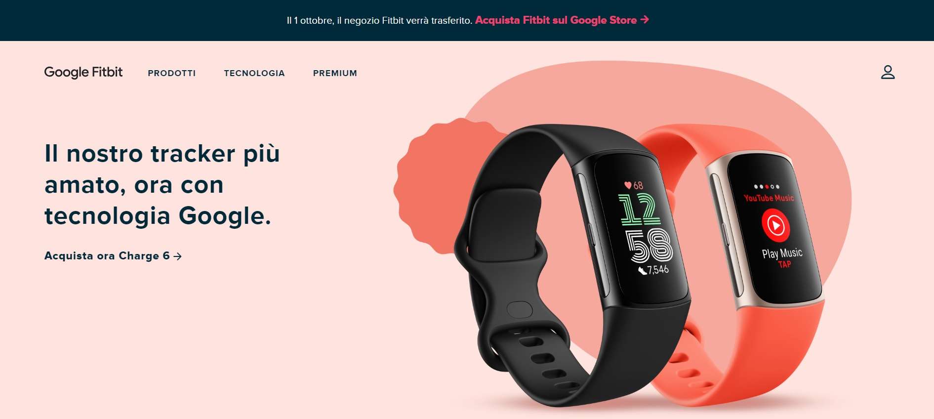 sito_fitbit_chiuso