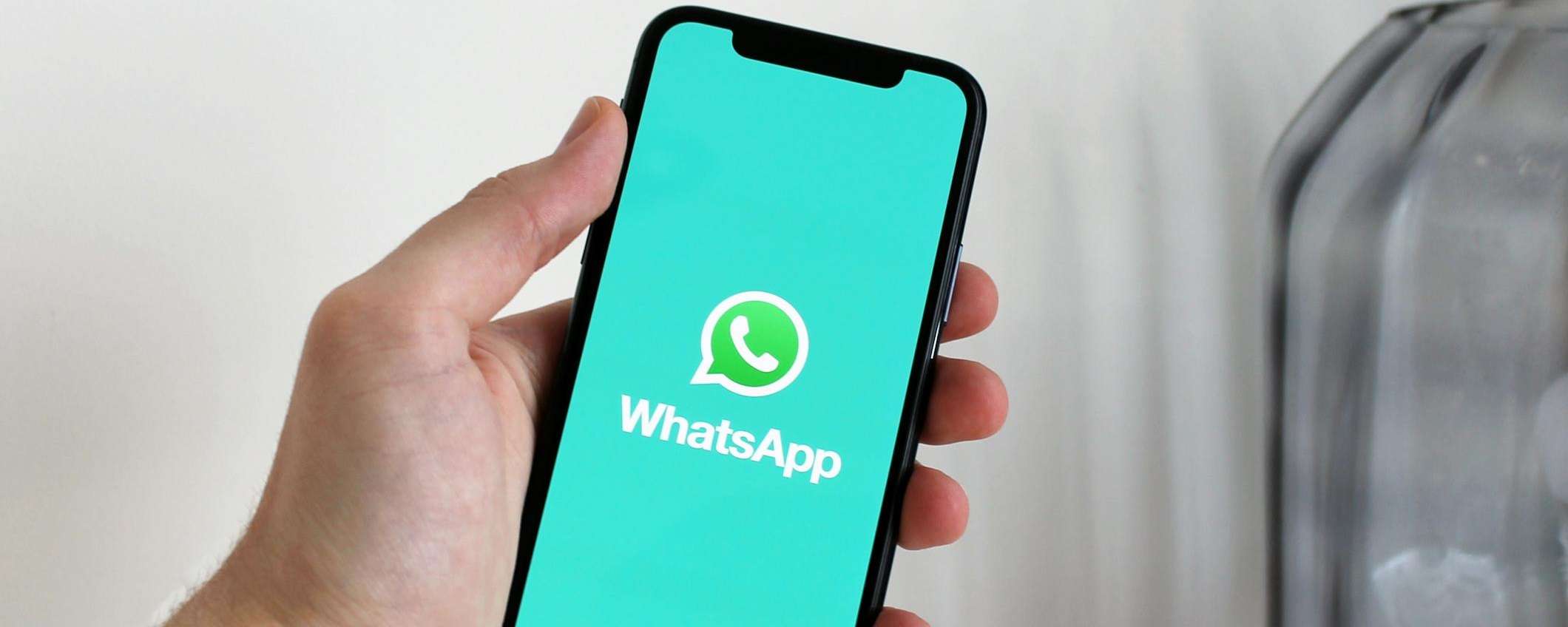 WhatsApp: il significato dei diversi tipi di spunte