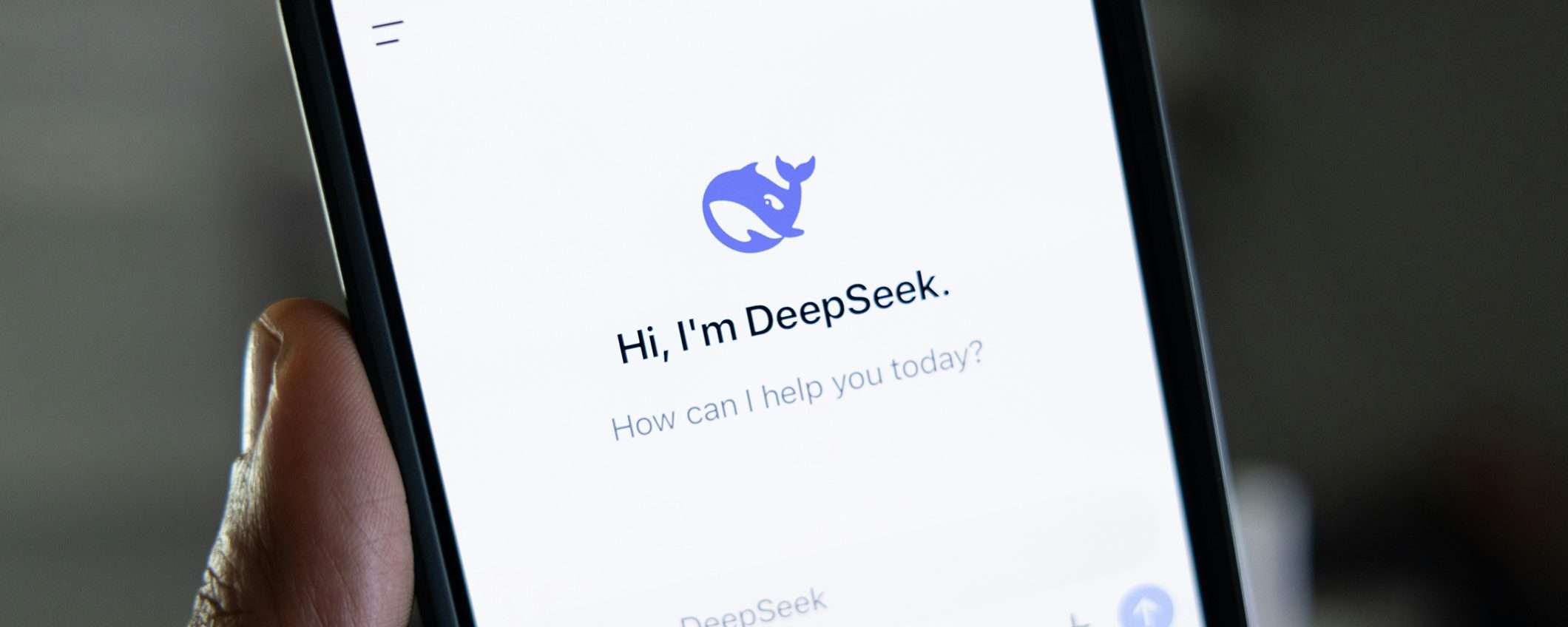 Il segreto di DeepSeek? Ha 