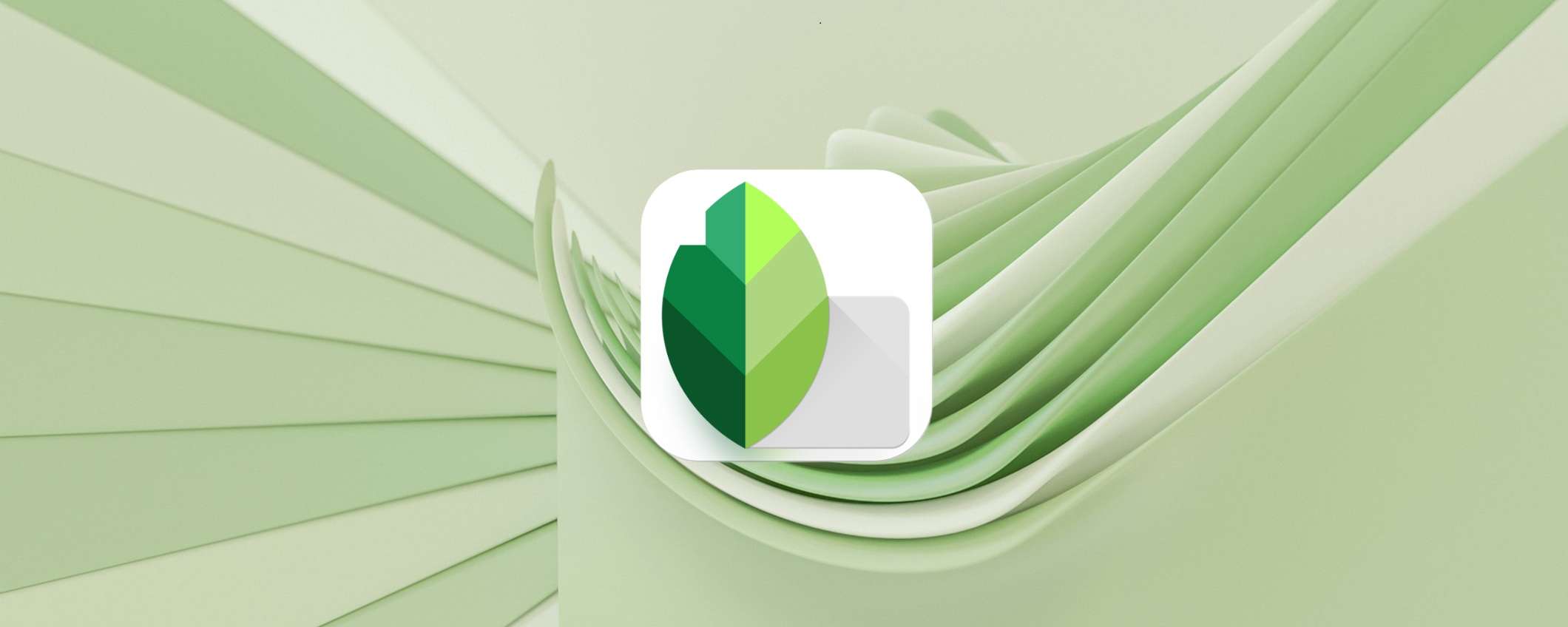 Snapseed l’app editing veloce pratica e gratuita