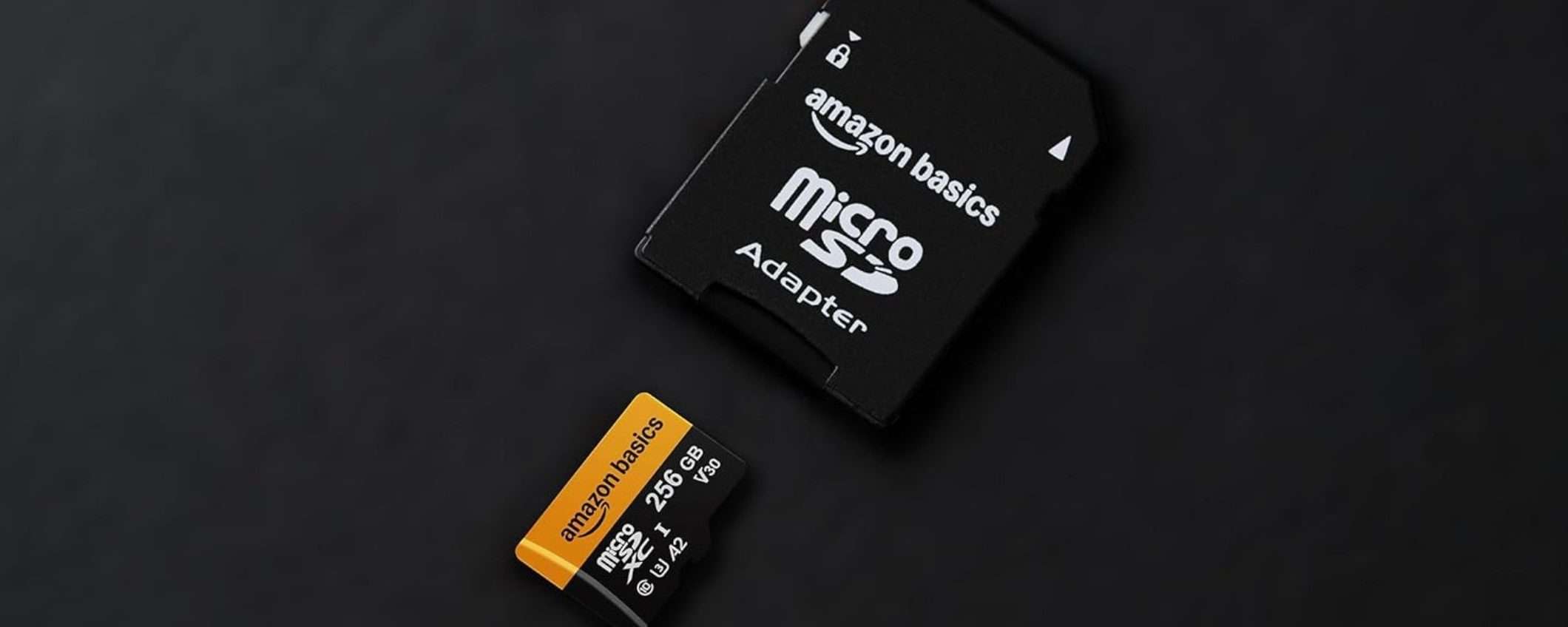 Velocissima microSD da 256GB ad un prezzo da non perdere su Amazon