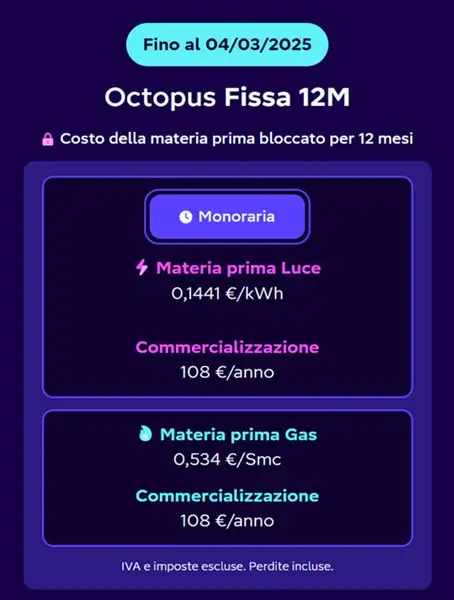 octopus fissa 12 mesi offerta