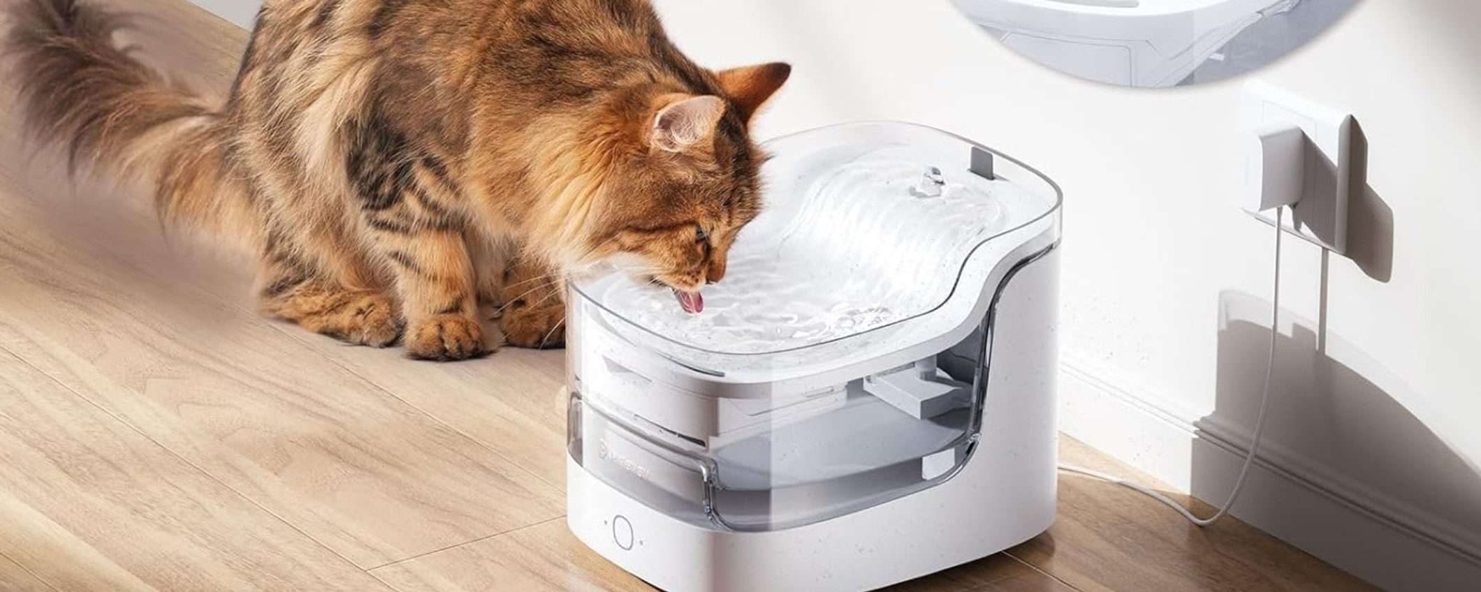 Fontanella per gatti smart, ultra-silenziosa e con WiFi: sconto su Amazon