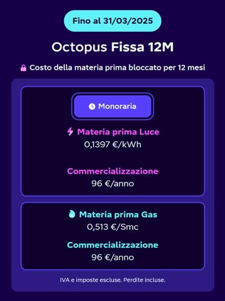 octopus fissa 12 mesi 31 marzo