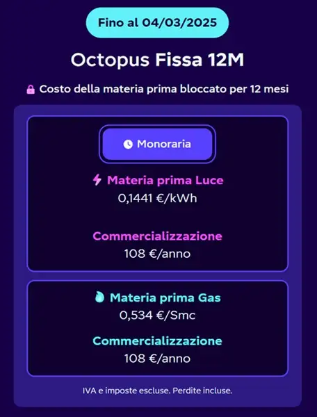 octopus fissa 12 mesi offerta