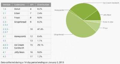 Adozione Google Gennaio 2013