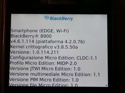 BlackBerry 8900 Javelin 