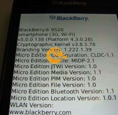 BlackBerry 9520 Storm 2