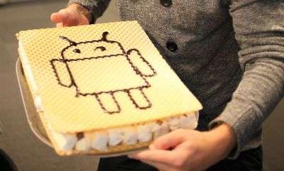 Ice Cream Sandwich