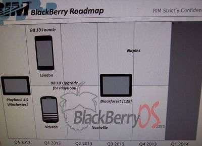 RIM roadmap 2013