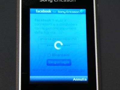 Sony Ericsson W508 