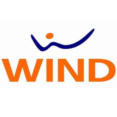 Wind Logo Biz