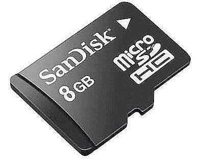 SanDisk microSDHC da 8 GB